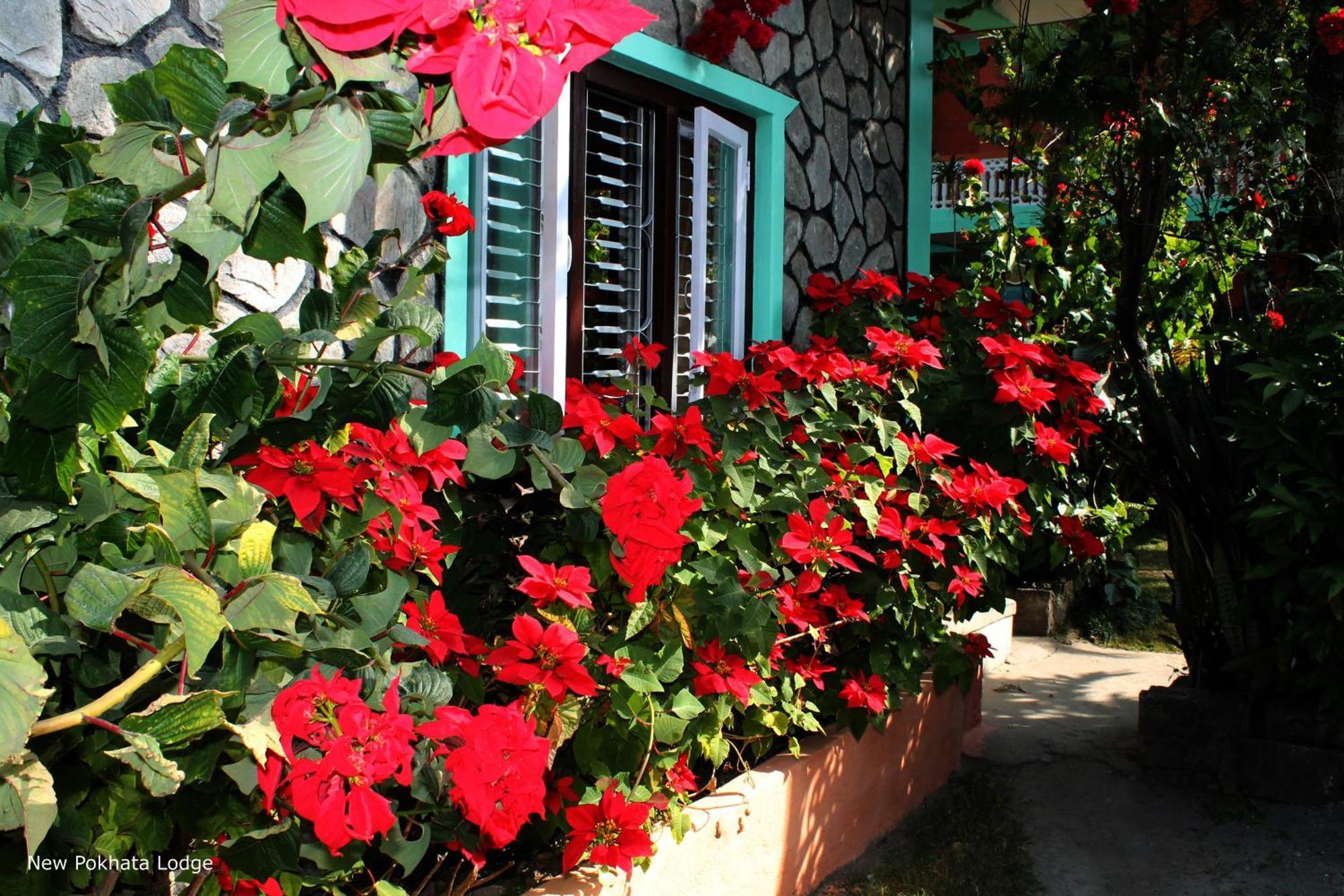 New Pokhara Lodge - Pokhara Lakeside Exterior foto