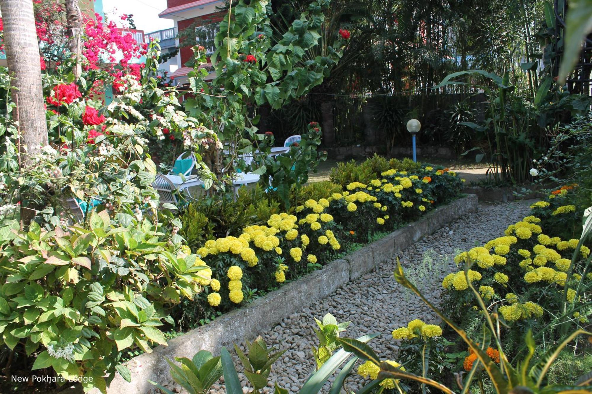 New Pokhara Lodge - Pokhara Lakeside Exterior foto