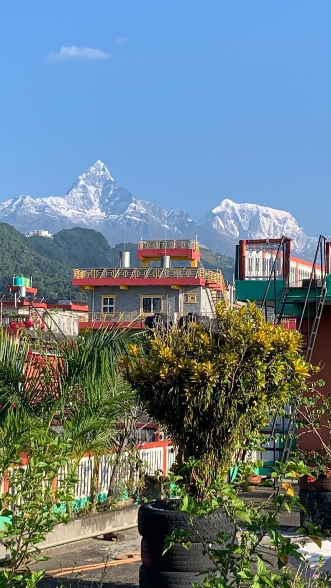 New Pokhara Lodge - Pokhara Lakeside Exterior foto
